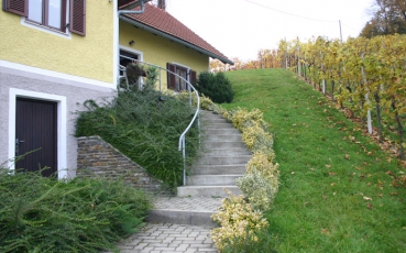 Weingut Bauer