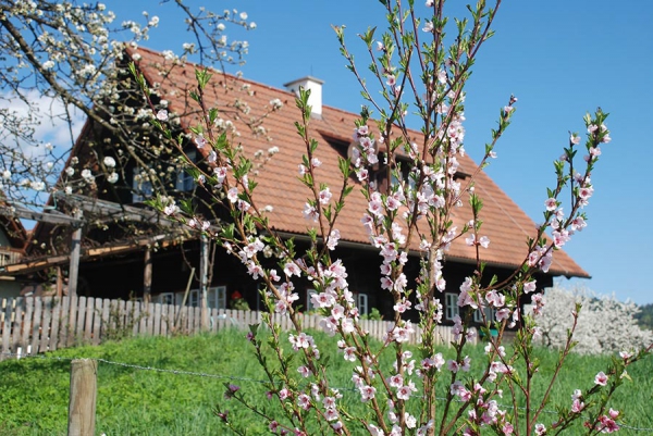 Gästehaus Deutschmann - Gamser Winzerstube***